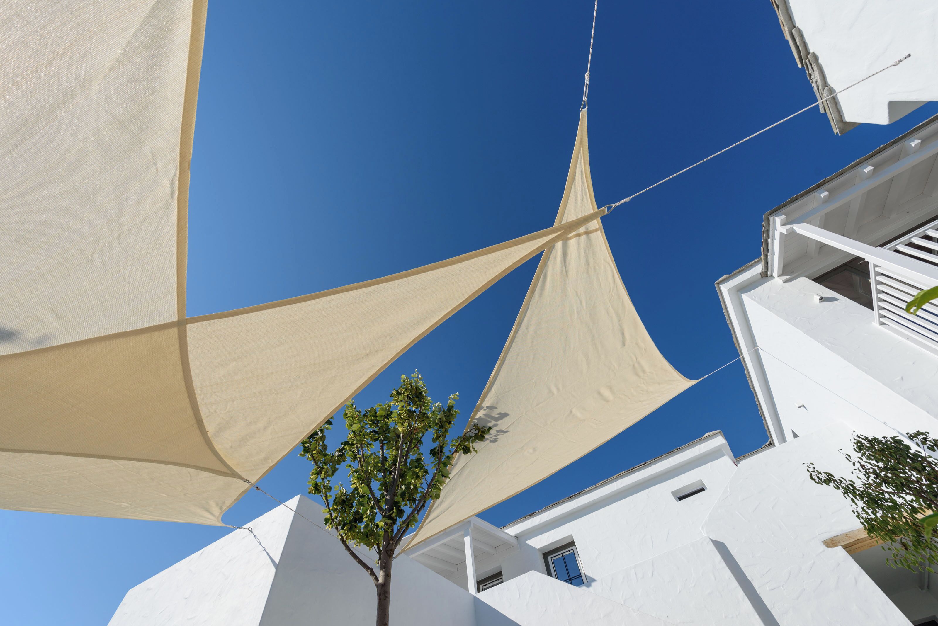 A white building with a tree in front and a clear blue sky.