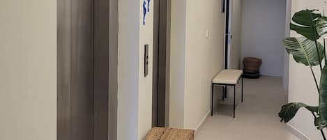 A modern hallway with three elevators, a bench, and a potted plant.