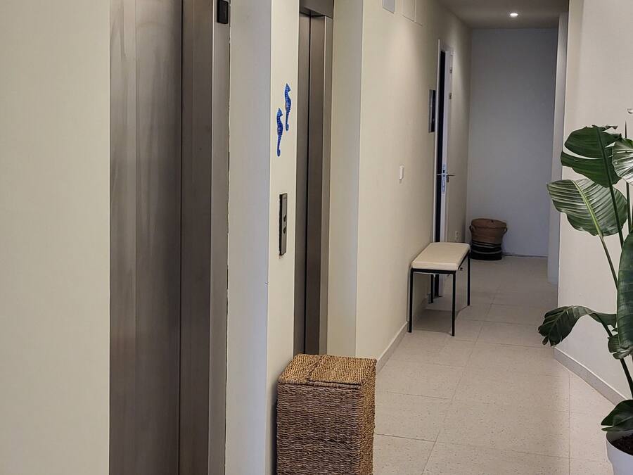Un pasillo moderno con tres ascensores, un banco y una planta en maceta.