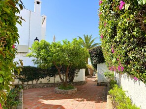 Terrain de l’hébergement 