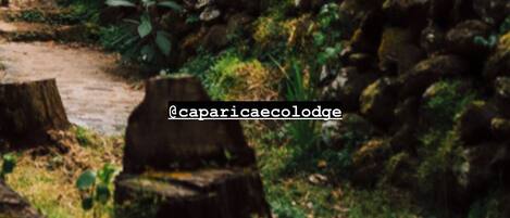 المنطقة المحيطة بالمنشأة