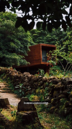 (Lodge Vista Floresta)