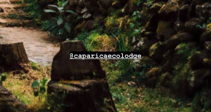 (Lodge Vista Floresta)