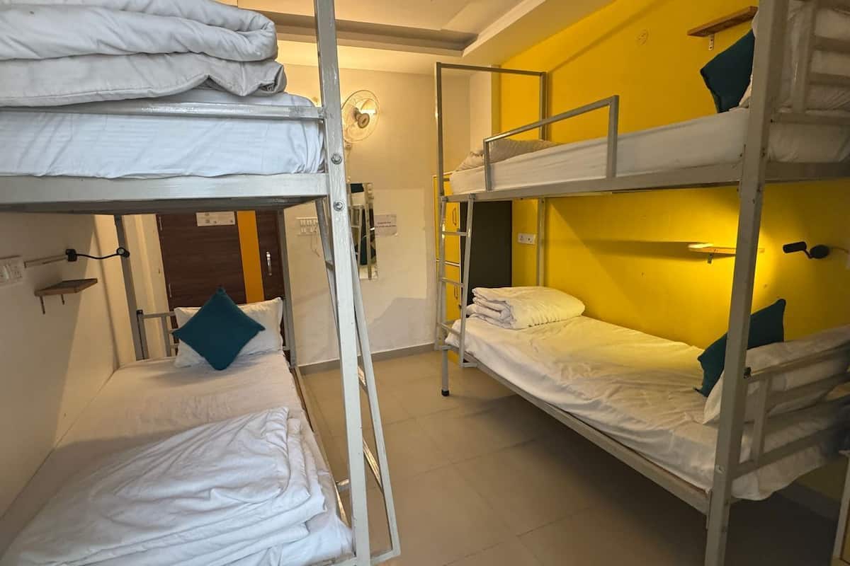 Bed In 4-Bed Mixed Dormitory Room | Premium bedding, down comforters, Select Comfort beds, laptop workspace
