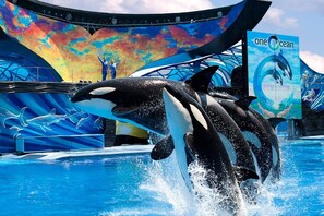 An aquatic show with orcas performing in a pool, with a vibrant backdrop and a sign reading "one ocean". - Spacious Orlando Stay Free Wifi Game Room (Orlando)