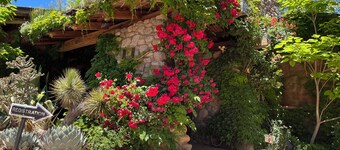 Cozy Hotel Suite in Charming Downtown Sedona, Pet Friendly