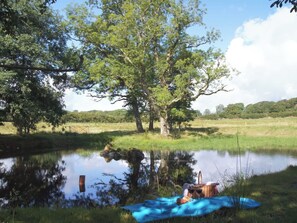 Property grounds - The Coach House (Tavistock)