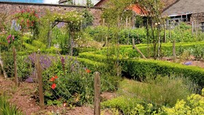 Terrain de l’hébergement 