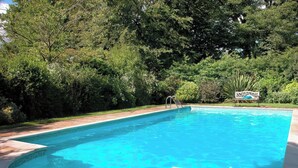 A rectangular swimming pool with a curved edge, surrounded by a tiled deck and lush greenery.