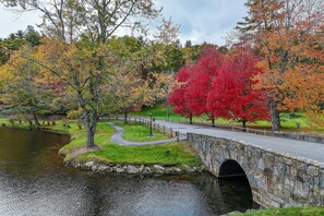 Miscellaneous - Charming 2BR Chetola Resort Condo with fireplace, Walk-in shower, and jetted tub (Blowing Rock)