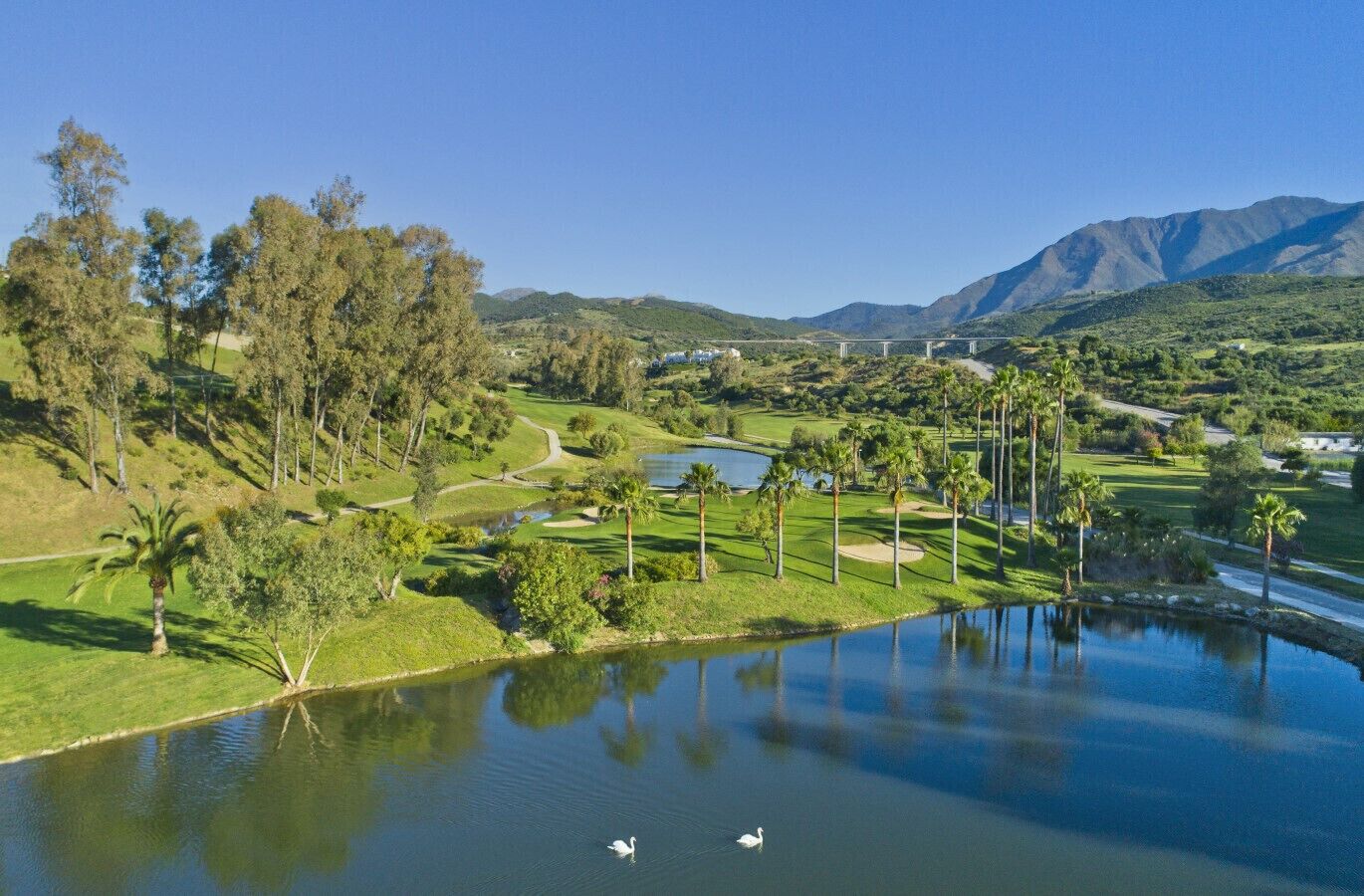 Un campo de golf con un estanque y cisnes, rodeado de árboles y montañas.