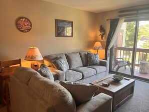 TV, fireplace, DVD player