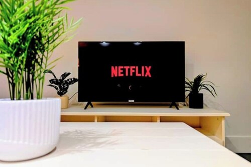 2BR unique basement living room with Netflix TV and sofa bed