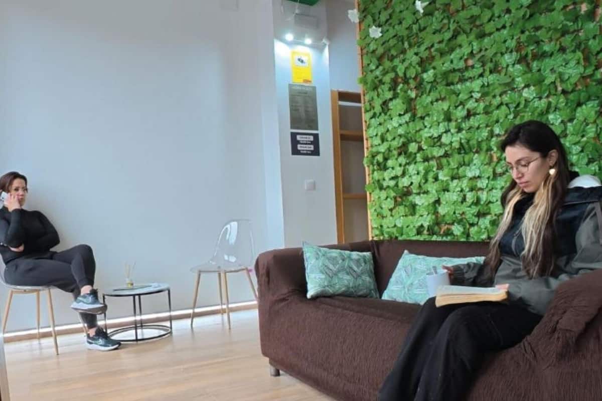 A room with a brown sofa, a clear chair, a small round table, and a green leafy wall.