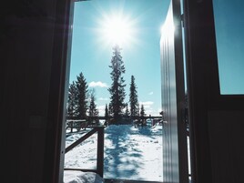 Family bungalow 6B | View from room