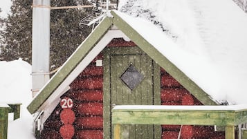 Cabin 2C, lake view
