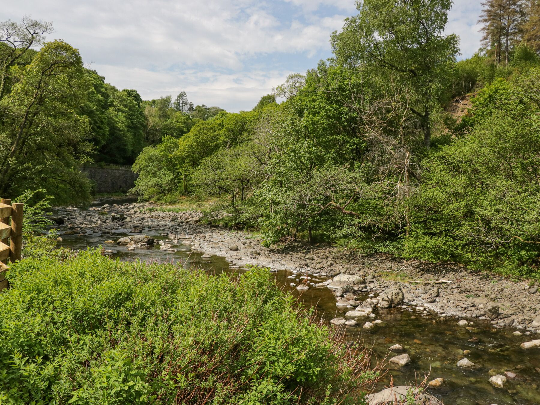 A river flowing through a forested area with a stone bridge in the foreground.