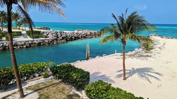 Una playa con agua turquesa cristalina, palmeras y un rompeolas rocoso.