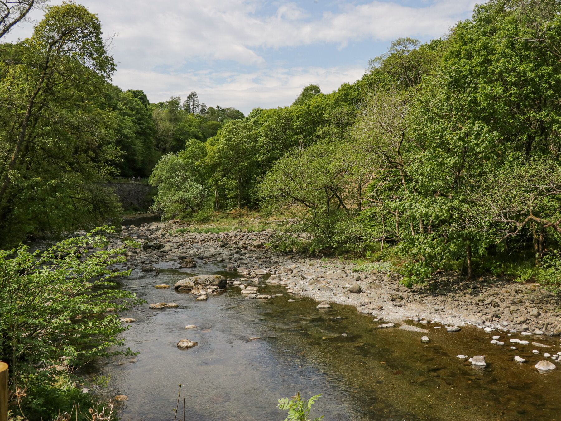 Une rivière qui traverse une zone boisée, avec des rochers et des arbres.
