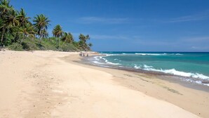 Une plage avec une eau d’un bleu limpide, un rivage sablonneux et des palmiers.