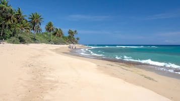 On the beach, white sand, 5 beach bars, surfing