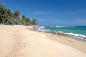 On the beach, white sand, 5 beach bars, surfing - Kite Beach Hotel (Cabarete)