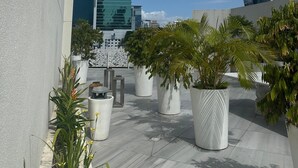 Terraza en la azotea con plantas en macetas y vistas a un edificio en espiral.