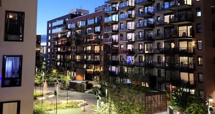 Oslo Golden Choice
