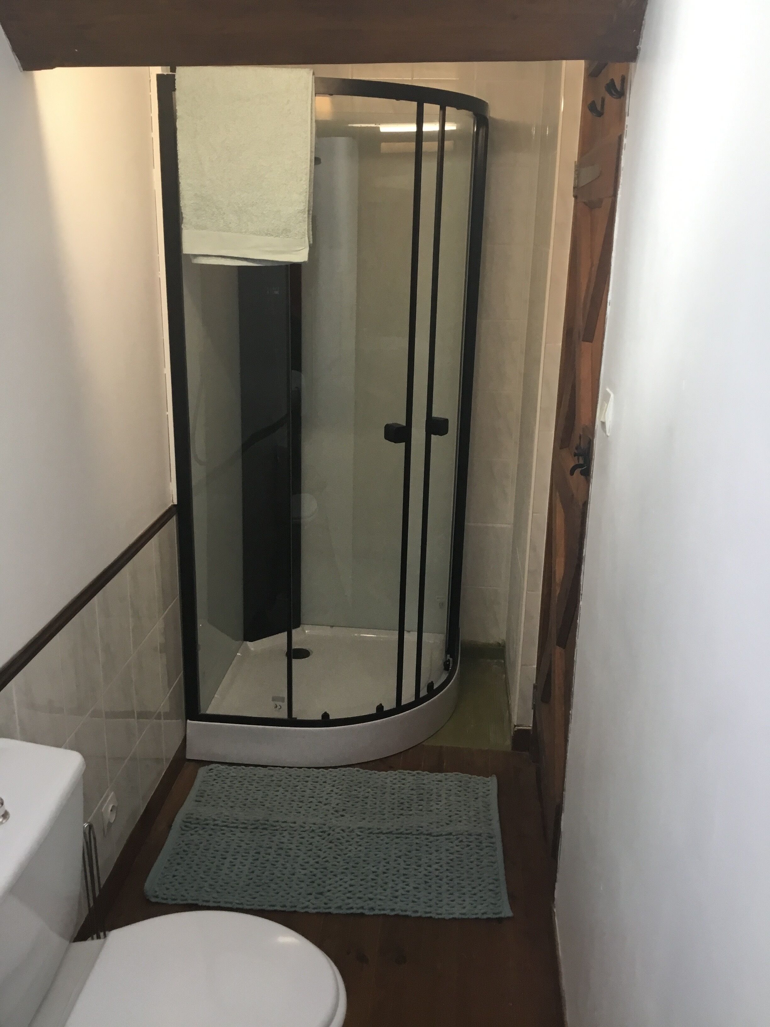 A small bathroom with a glass-enclosed shower, a toilet, and a blue mat on the floor.