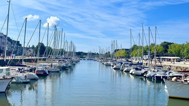 Ein Yachthafen mit zahlreichen Booten, die am Ufer liegen, umgeben von Gebäuden und Bäumen.