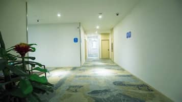 A hotel corridor with a patterned carpet, a potted plant, and directional signs on the walls.
