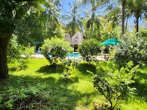 Property grounds - Residence Maison Muege (Kilifi)