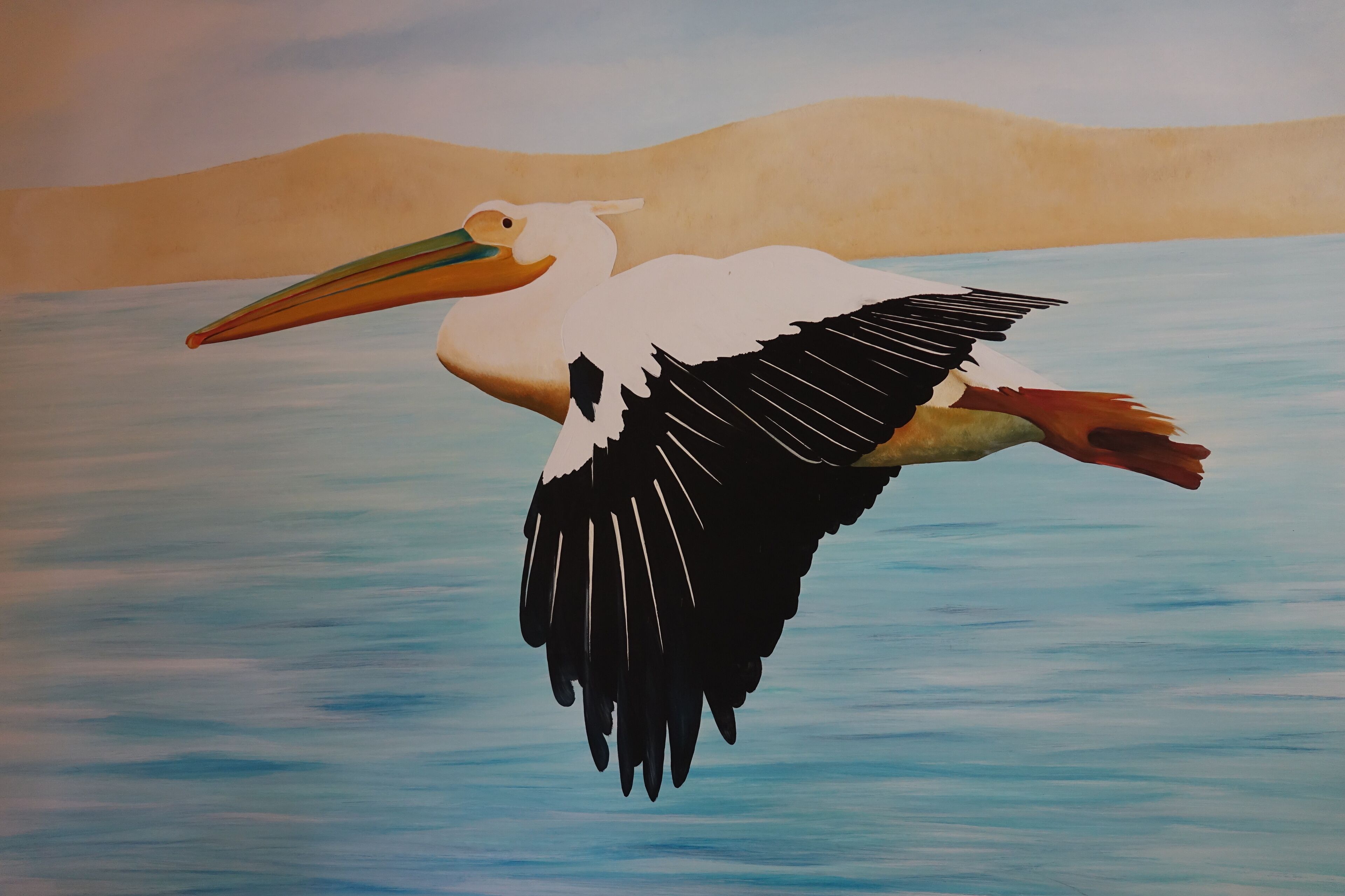 Een schilderij van een vliegende pelikaan boven een wateroppervlak met een zandstrand op de achtergrond.