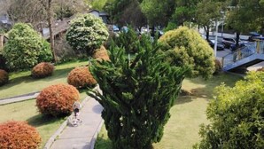 Un jardin aménagé avec différents arbres et arbustes, un chemin pavé et un petit pont.