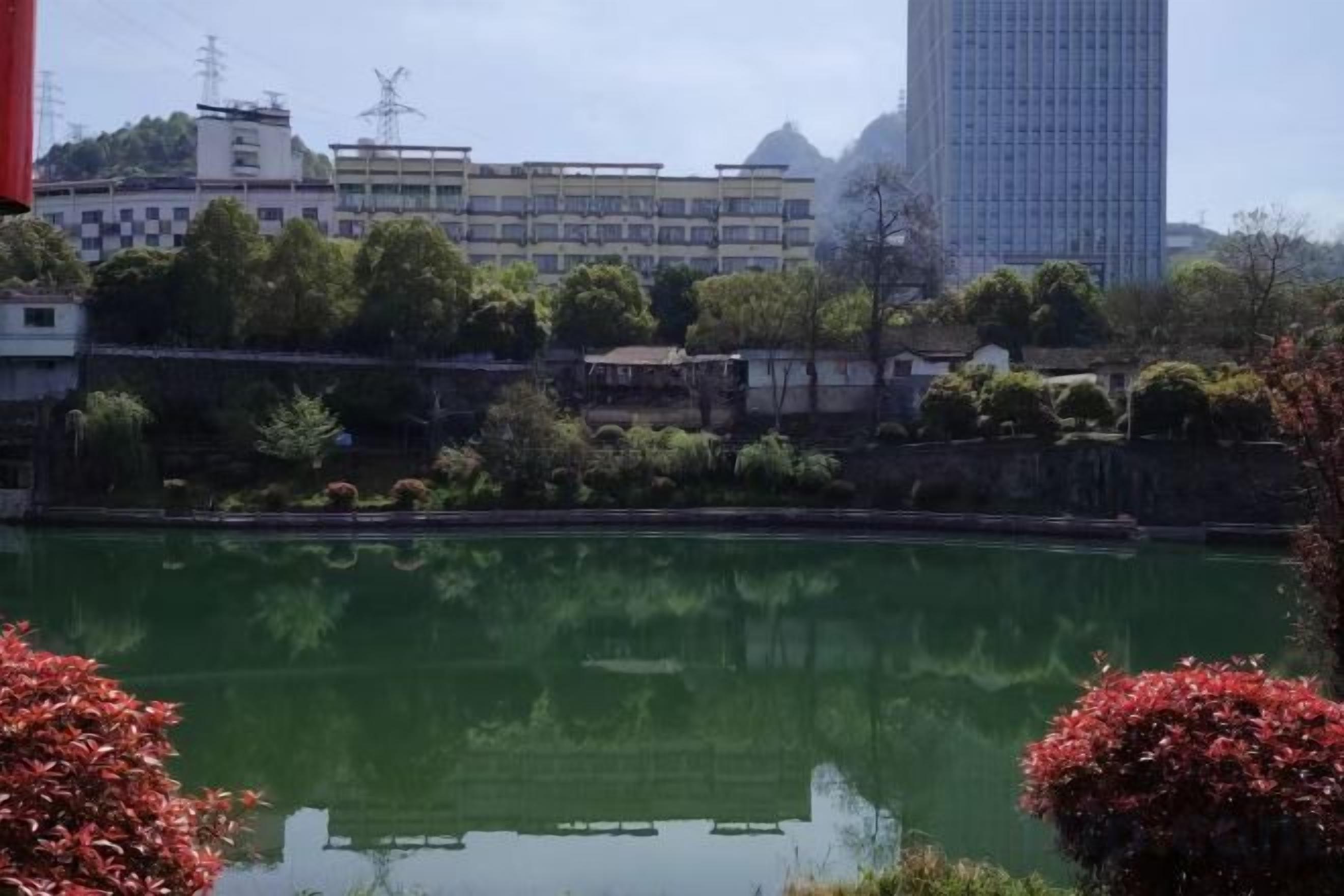 Un lac paisible où se reflètent les arbres et les bâtiments, entouré de verdure et surplombé d’un ciel dégagé.