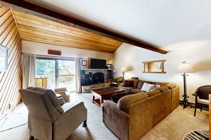 TV, fireplace, books