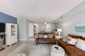 TV, fireplace, books