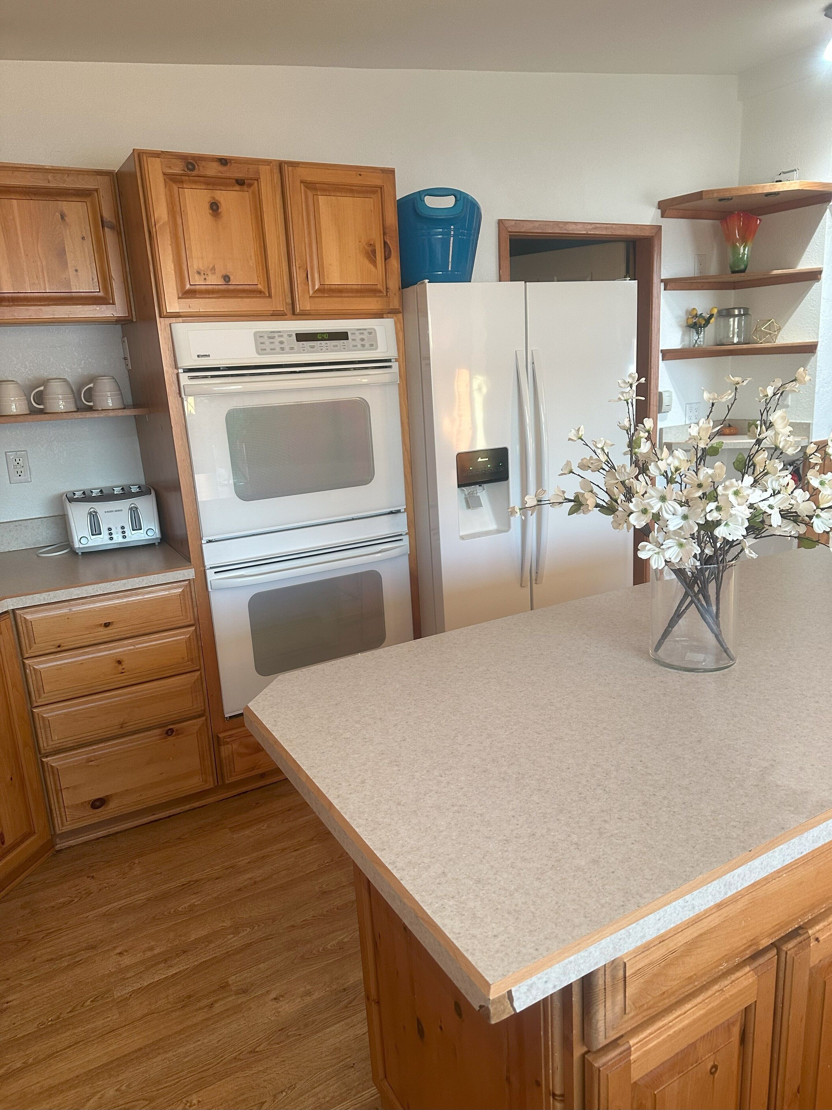 Fridge, stovetop