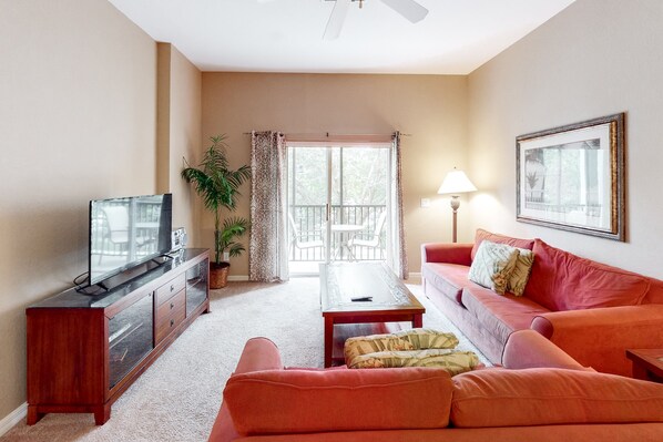 TV, DVD player, books