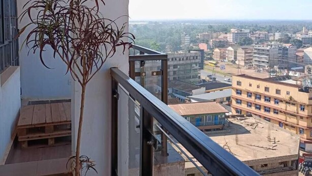 A balcony with a potted plant, a view of a cityscape with buildings and a clear sky.