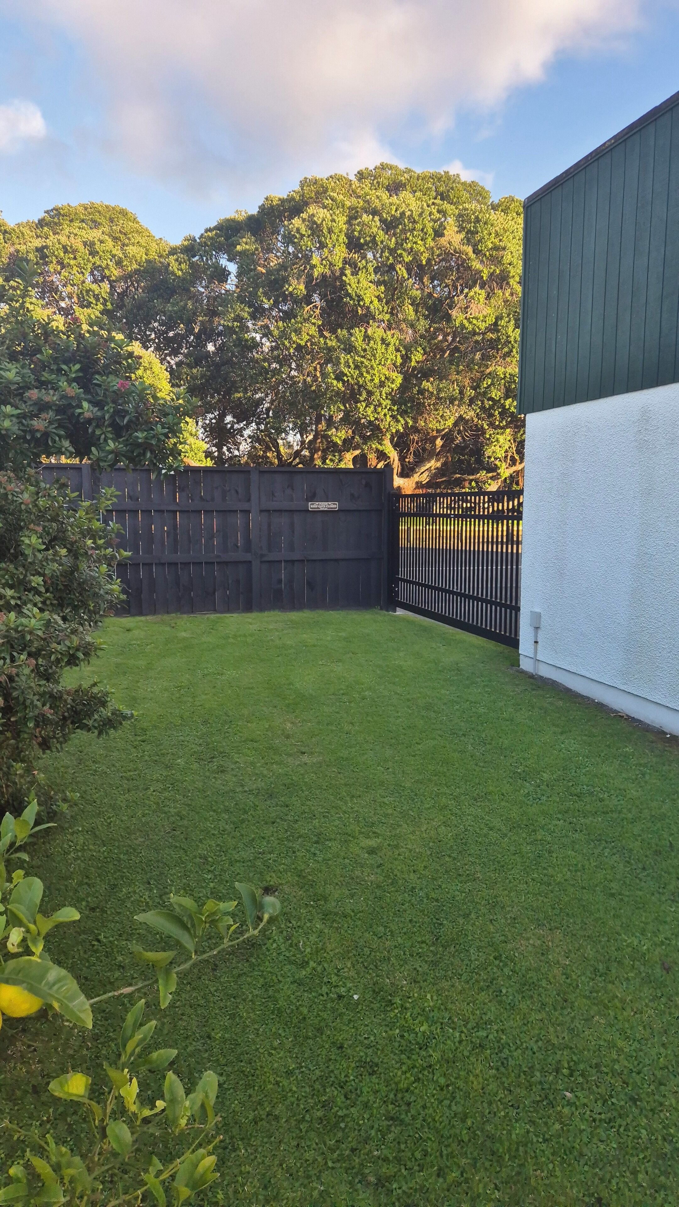 A well-maintained backyard with a wooden fence, a grassy lawn, and a building with a white exterior.