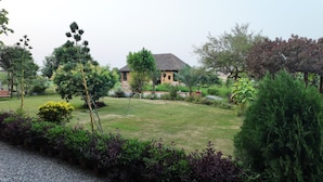 Un jardin bien entretenu, agrémenté de diverses plantes et arbres, avec une pelouse, et un bâtiment à toit de chaume en arrière-plan.