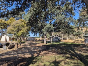 A campground with multiple cabins, picnic tables, and a barbecue grill area. - Squaw Valley Motel Room #1 (Yokuts Valley)