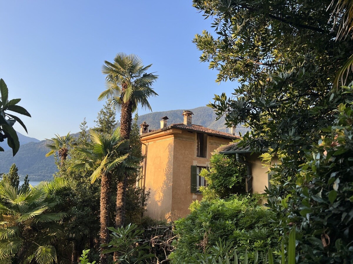 Imagen de perfil del propietario o de la propietaria