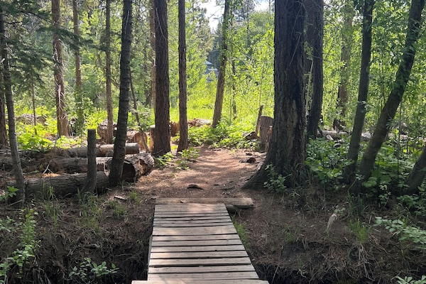 Àrea exterior de l'allotjament