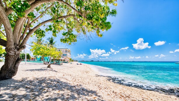 A beach with a large tree, clear blue water, and a building in the background. - Sunset Point: Chic Meets Luxury, Sophisticated Style Meets Ocean Serenity (West Bay)