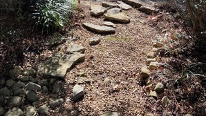 A forested area with a stone pathway leading to a road. - Cozy cabin with 1 bedroom, Lakefront views in tranquil Terry! (Terry)