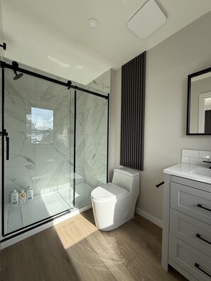 Shower, hair dryer, towels, soap