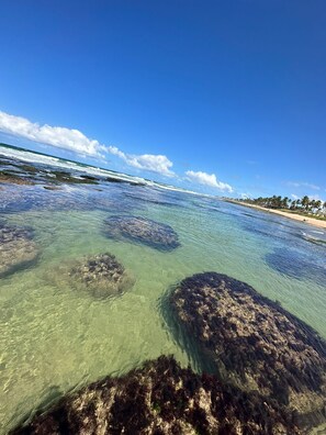 Ubicación cercana a la playa, arena blanca y 10 bares en la playa