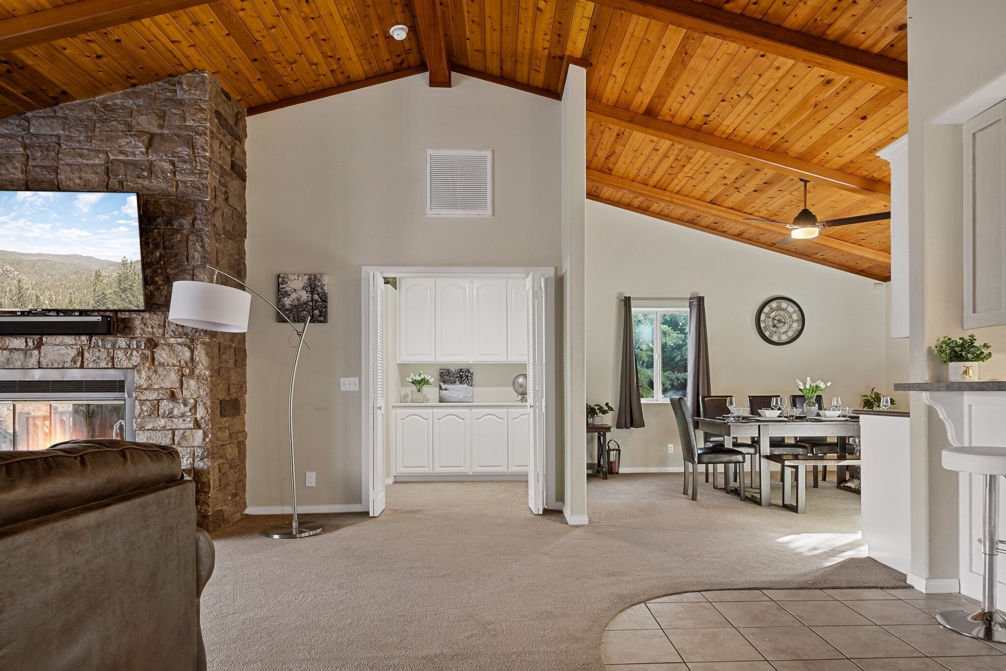 Télévision, cheminée, livres